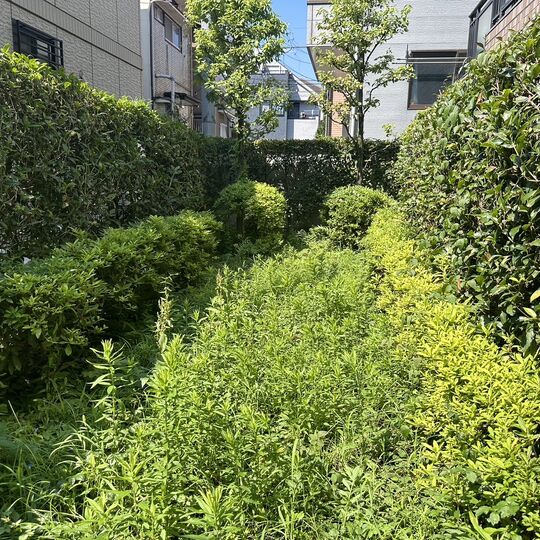 画像2065：【台東区の造園】東京都目黒区防草シート施工